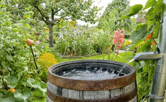 Całoroczne jacuzzi ogrodowe – funkcje, zalety i inspiracje aranżacyjne