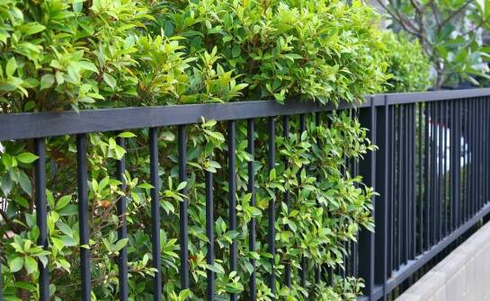 Ogrodzenia posesji – przegląd materiałów, trwałość oraz walory estetyczne