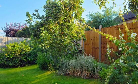 Panele ogrodzeniowe – jakie materiały i wzory sprawdzają się najczęściej