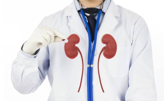 Jak wybrać solidne nerki od sprawdzonych producentów – praktyczne wskazówki