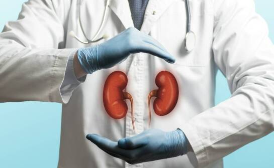 Saszetki nerki – zastosowanie, materiały i popularne trendy wśród akcesoriów