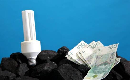 Elastyczne zarządzanie zużyciem energii – dopasowanie mocy do potrzeb biznesu