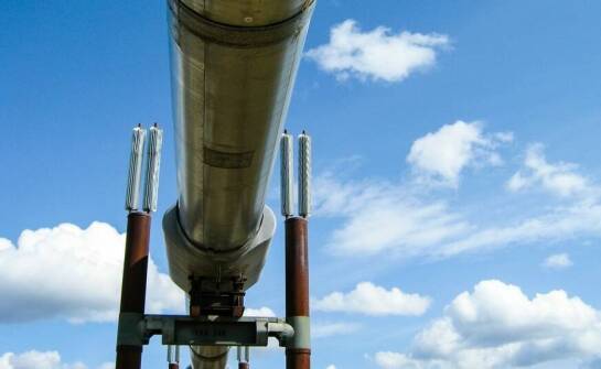 Zastosowanie wag VEI w ładowarkach teleskopowych – kluczowe informacje