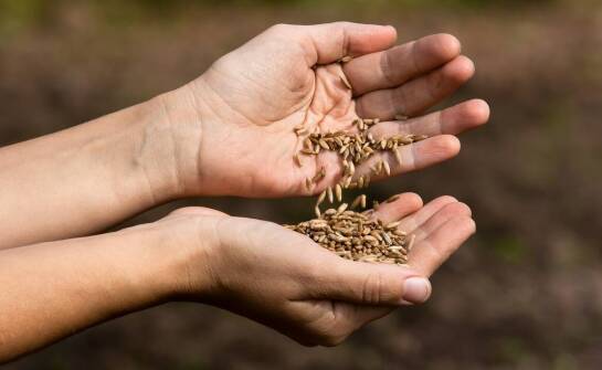 Wagi VEI w bio-kompostowniach i biogazowniach – funkcje, zastosowania, zalety