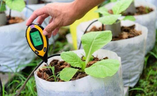 Znaczenie dokładnego ważenia w procesach bio-kompostowania i produkcji biogazu