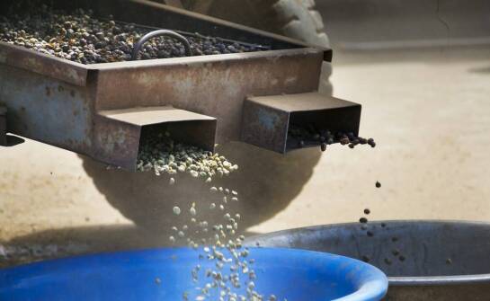 Jak wybrać niezawodne systemy wagowe do bio-kompostowni i biogazowni