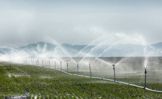 Zastosowanie instalacji mgły wodnej w różnych branżach i ich najważniejsze zalety