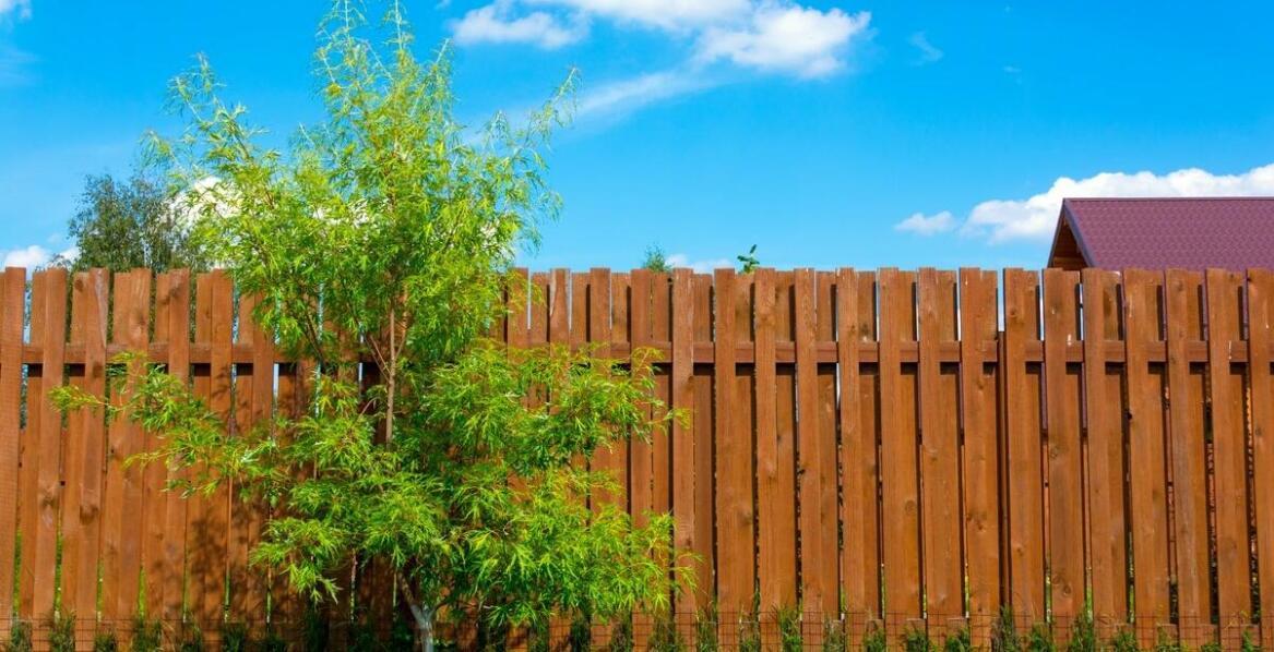 Jakie ogrodzenie wybrać? Przegląd materiałów i najważniejszych zalet