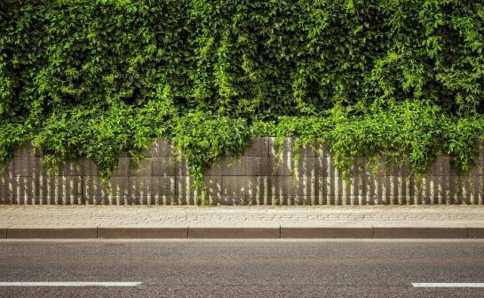 Ogrodzenia kute – inspiracje wzornictwem i trwałość w architekturze posesji