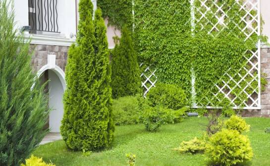 Ogrodzenia – praktyczne informacje, popularne materiały i funkcje na działce