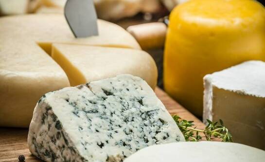 Jak powstają najlepsze sery – ciekawostki i tajemnice branży mleczarskiej