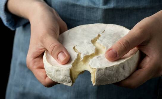 Mozzarella na polskim rynku – charakterystyka, rodzaje i zastosowanie