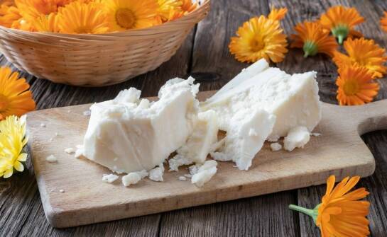 Mozzarella Bufala – właściwości, smak oraz zastosowanie w kuchni