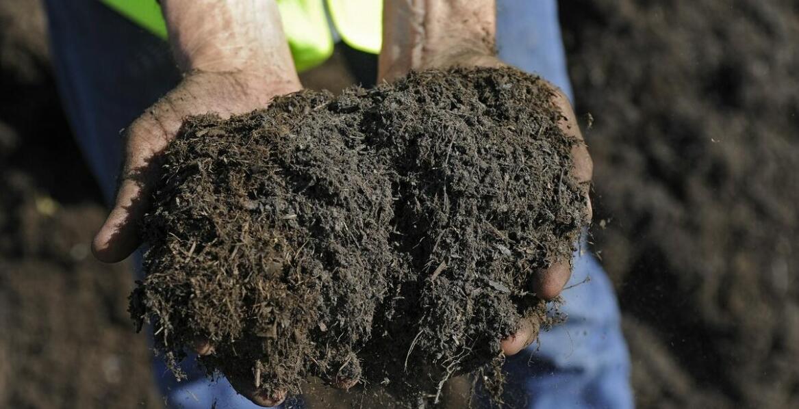 Jak mulczowanie wpływa na stan gleby i roślinność na różnych terenach