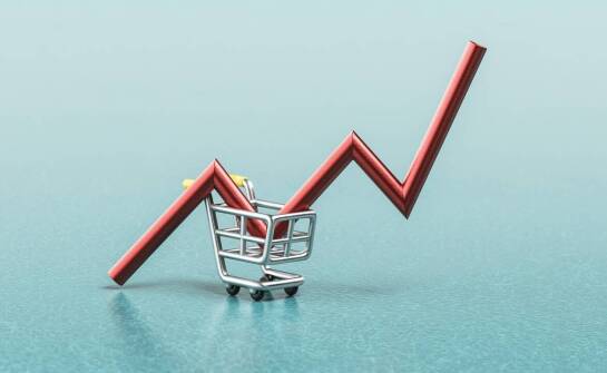 Upadłość konsumencka – najważniejsze zasady, przyczyny i skutki ogłoszenia