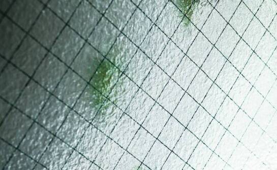 Moskitiery AMS – skuteczna bariera przed owadami i komfort w każdym wnętrzu