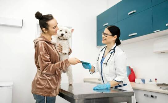 Najważniejsze badania diagnostyczne zwierząt – co warto wiedzieć o opiece