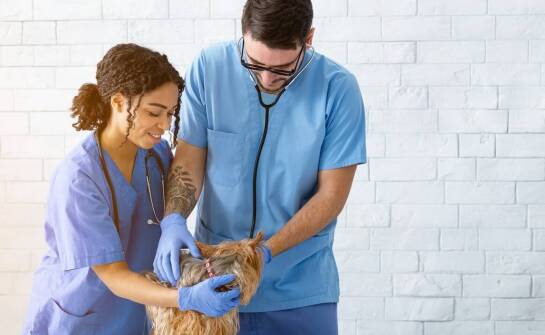 Korzyści współpracy z radcą prawnym przy prowadzeniu działalności gospodarczej