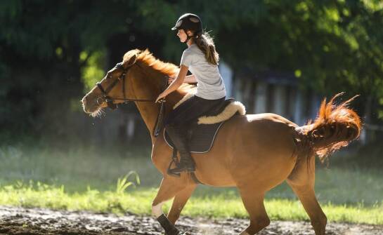 T-shirty jeździeckie – jak wybrać funkcjonalny i wygodny model na co dzień