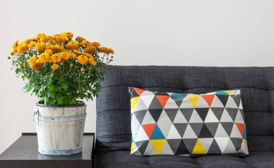 Jak wybrać poduszkę z nadrukiem pasującą do każdego stylu wnętrza