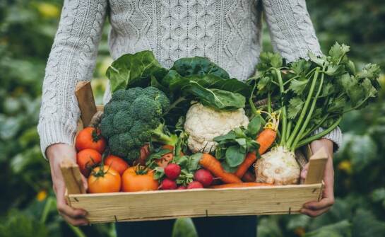 Ekologiczna żywność a zdrowie – co warto wiedzieć przed zakupami