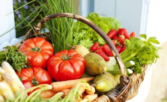 Jak ekologiczna żywność wpływa na środowisko i codzienne wybory konsumentów