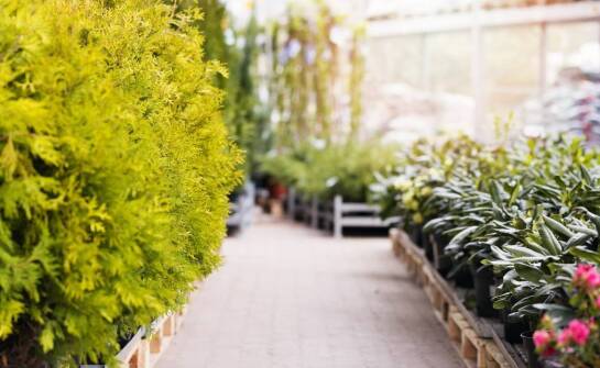 Zalety inwestycji w biologiczną oczyszczalnię ścieków przy domu