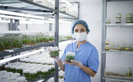 Oczyszczalnia biologiczna – co warto wiedzieć przed wyborem rozwiązania