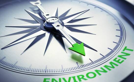 Na czym polegają raporty oddziaływania na środowisko i kiedy są wymagane?