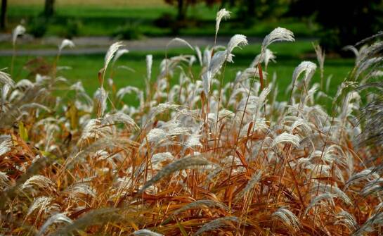 Druk ulotek – sprawdzone techniki i pomysły na przyciągającą uwagę reklamę