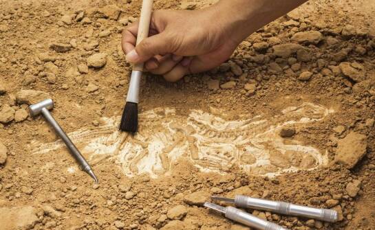 Jak przebiegają badania geologiczne gruntu i kiedy są potrzebne?