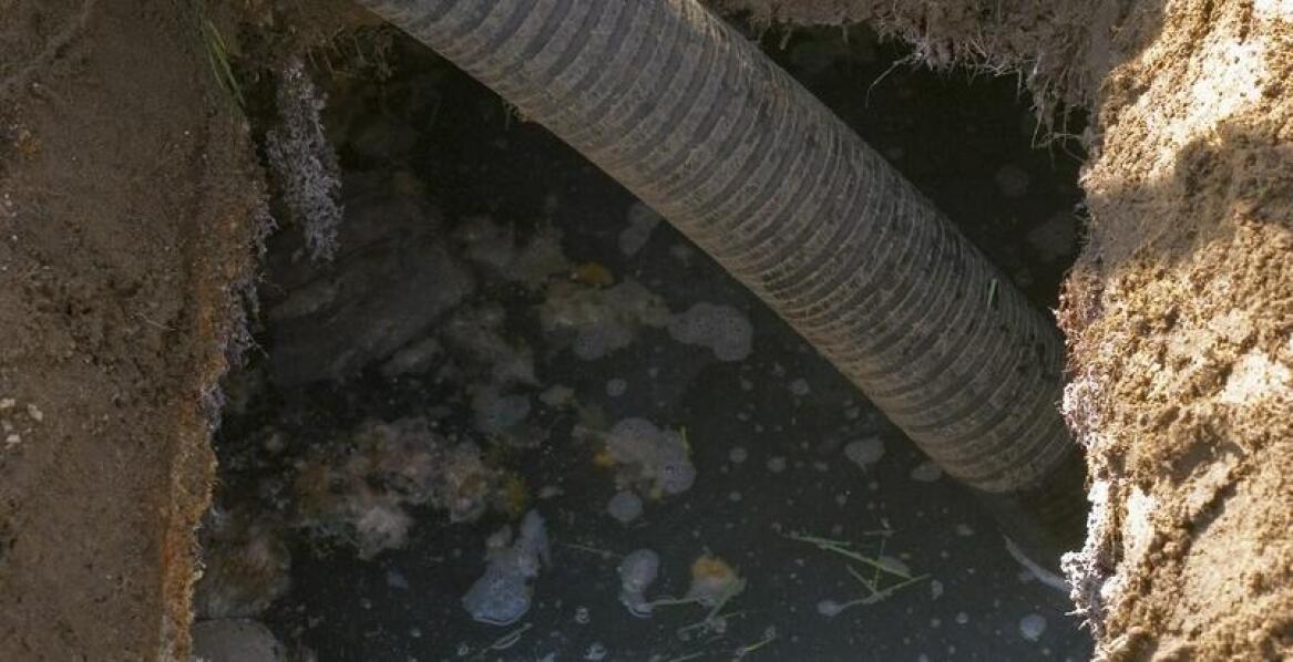 Znaczenie sprawnego odwodnienia działki i domu – rozwiązania i możliwości