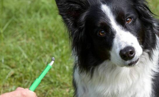 Uprawnienia i obowiązki komornika – kluczowe aspekty pracy komorniczej