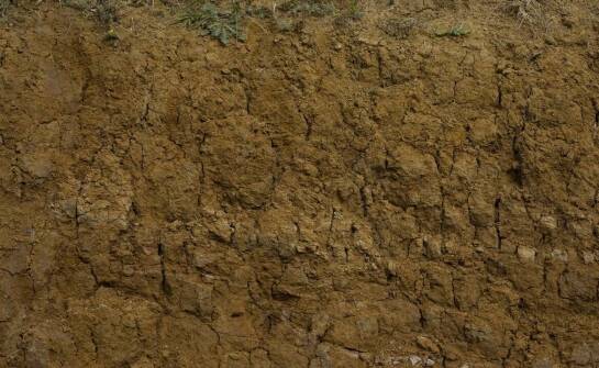 Grunt sczepny – zastosowanie, właściwości i znaczenie w pracach budowlanych