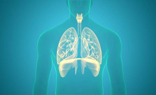 Aparaty do ćwiczeń oddechowych – jak wspierają zdrowie i sprawność płuc