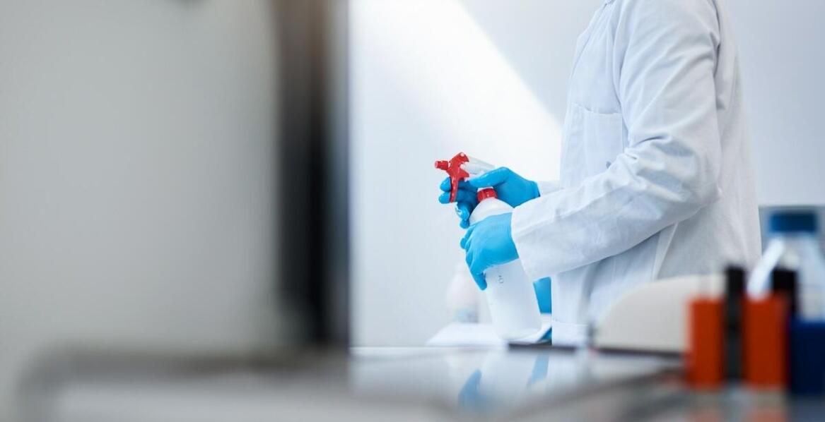 Usuwanie grzybów i pleśni w budynkach – skuteczne metody i zalecenia