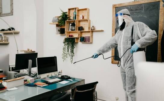 Badania mykologiczne w budownictwie – kiedy są potrzebne i jak przebiegają