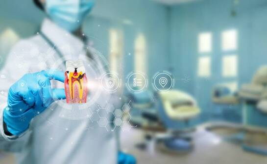 Wpływ grzybów na stan budynków – najważniejsze fakty i metody zwalczania