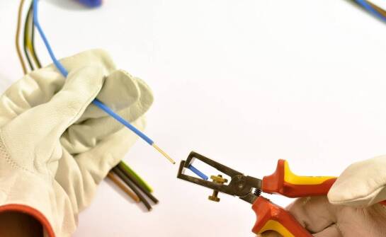 Kiedy warto skorzystać z pomocy mykologa i jak przebiega taka ekspertyza?