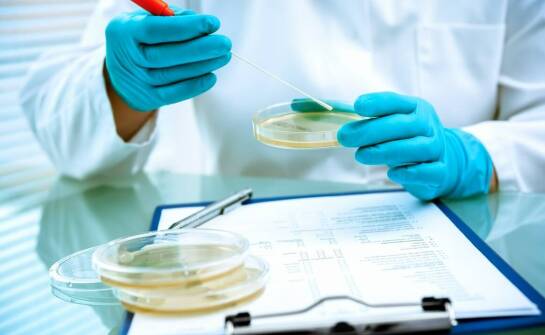 Czym jest ekspertyza mykologiczna i jakie problemy może wykryć w budynkach