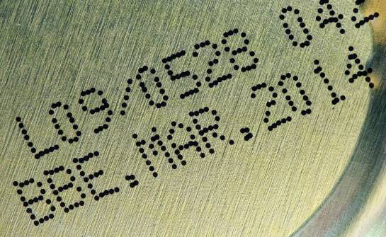 Warroza pszczół – objawy, przyczyny i skutki choroby w pasiekach