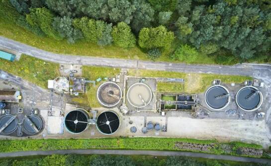 Apiwarol – zastosowanie i działanie preparatu w ochronie pszczół