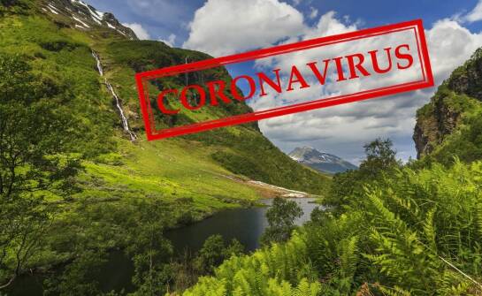 Apiwar – skuteczność i znaczenie w ochronie pszczół przed pasożytami