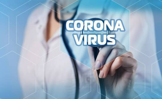 Apiwar – zastosowania i mechanizm działania w ochronie zdrowia pszczół