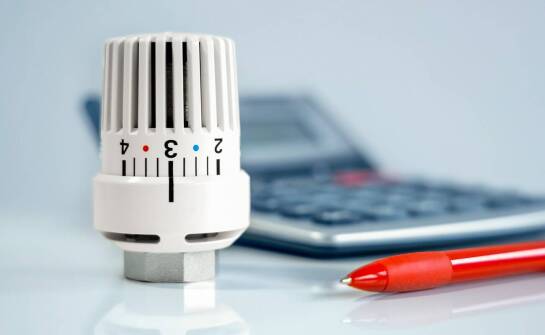 Thymovar – działanie, zastosowanie i rola w ochronie zdrowia pszczół