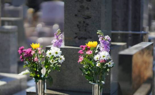 Jakie kwiaty wybrać na cmentarz? Inspiracje i znaczenie wiązanek