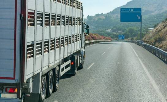 Międzynarodowy transport zmarłych – najważniejsze aspekty i procedury