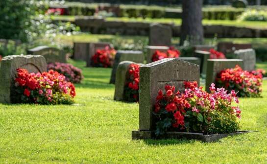 Wiązanki na cmentarz – tradycje, symbolika i wybór odpowiednich kwiatów