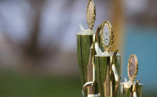 Puchary – jak powstają, jakie materiały dominują i co wpływa na ich wybór