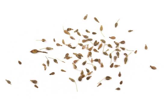 Nasiona poplonowe – jakie wybrać i jak wpływają na jakość gleby?